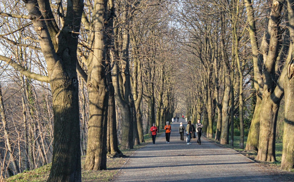 Berlin-Lichterfelde; Bäkepark am Teltowkanal