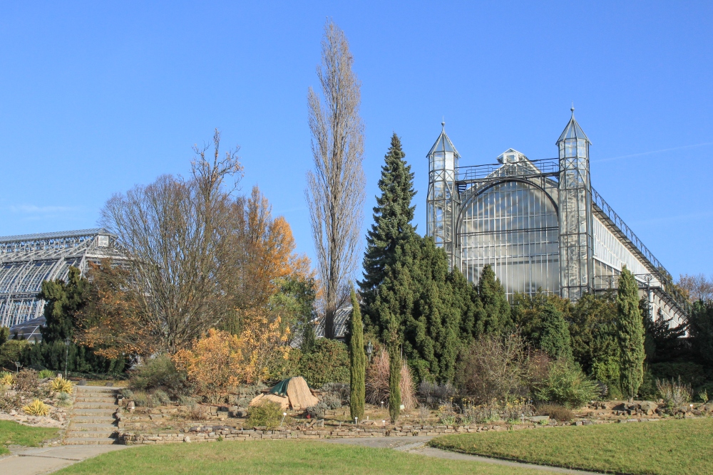 Berlin; Botanischer Garten, Mittelmeerhaus