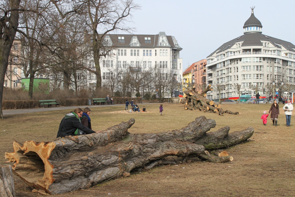 Berlin-Charlottenburg; Erwin-Barth-Park zwischen Lietzensee und Kaiserdamm