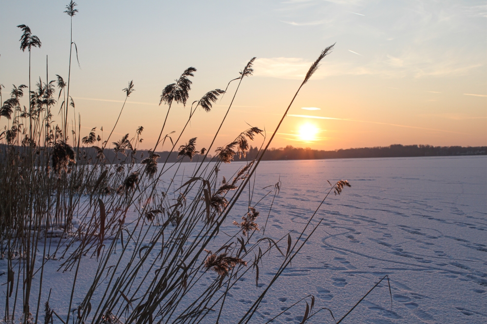 Berlin; Gefrorene Havel unweit der Pfaueninsel