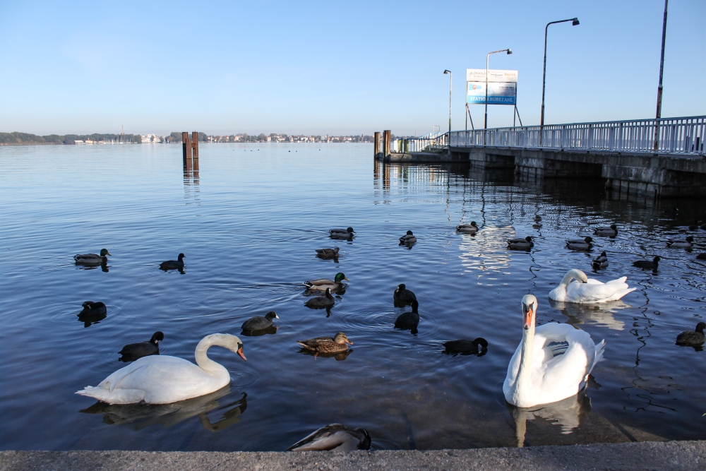 Berlin-Köpenick; Müggelsee beim "Rübezahl"