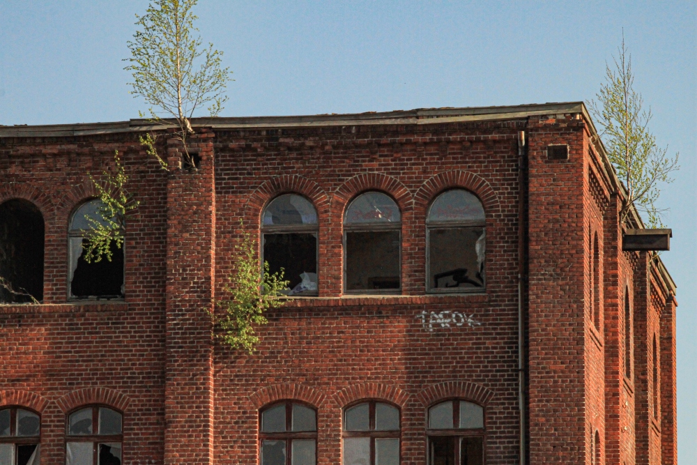 Berlin-Köpenick; Ruine der Wäschefabrik in Spindlersfeld