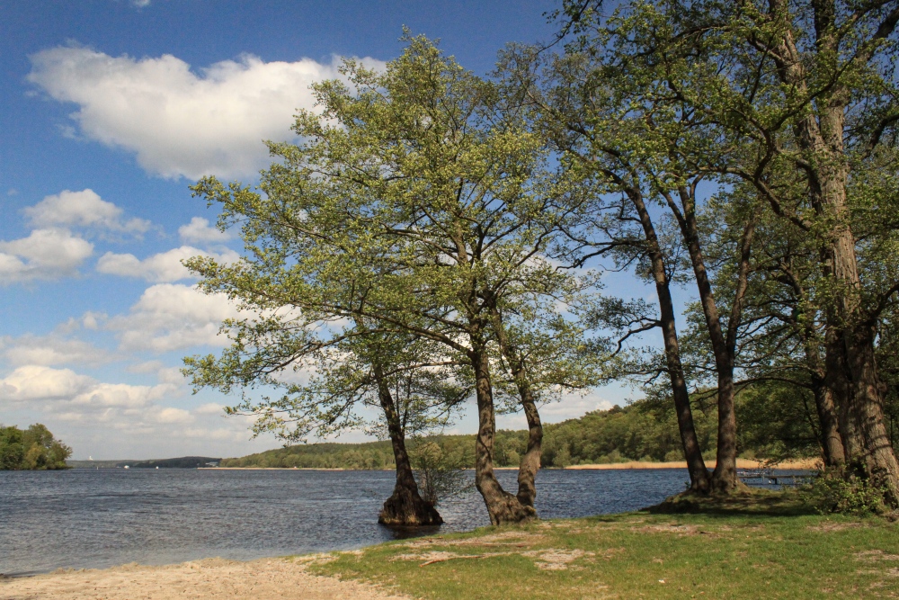 Berlin; Havelufer an der Pfaueninsel