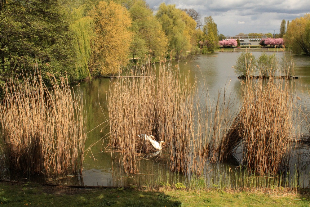 Berlin; Volkspark Mariendorf
