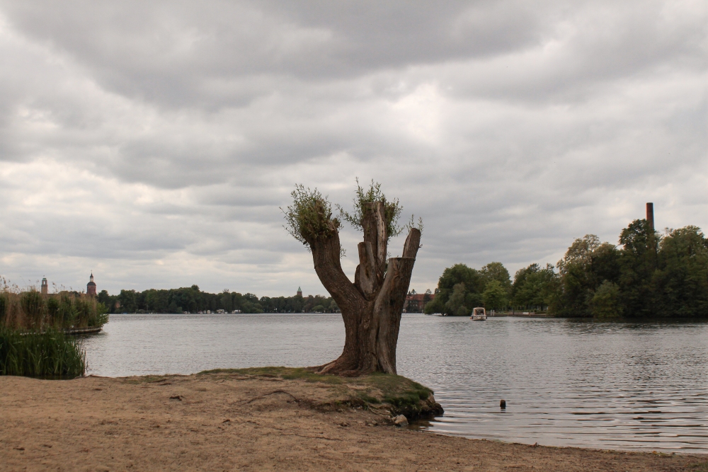 Berlin- Spandau; Havelstrand am Krienicke Park