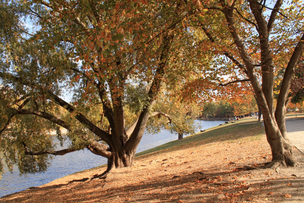Berlin-Neukölln; Am Urbanhafen