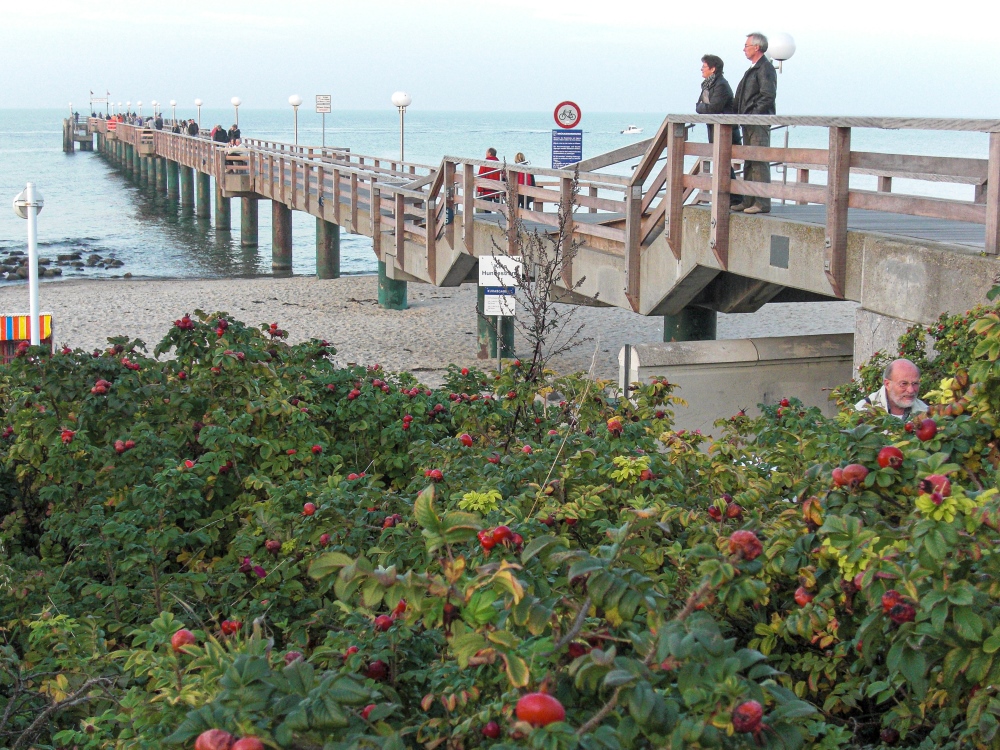 Ostseebad Kühlungsborn; Herbst an der Seebrücke
