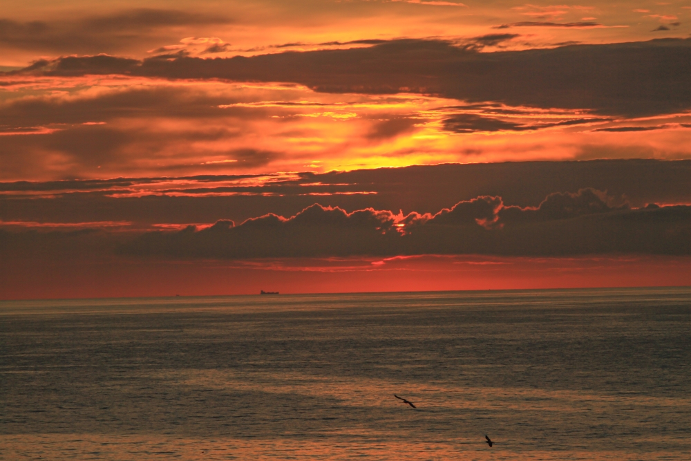 Scheveningen; Nordseehorizont