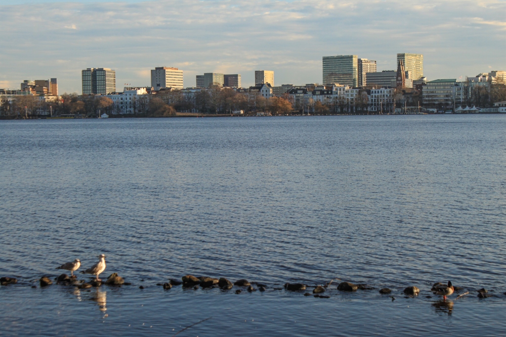 Hamburg; Außenalster vom Anleger Rabenstraße