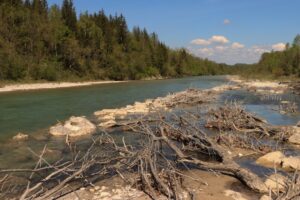 Isar unterhalb von Obergries