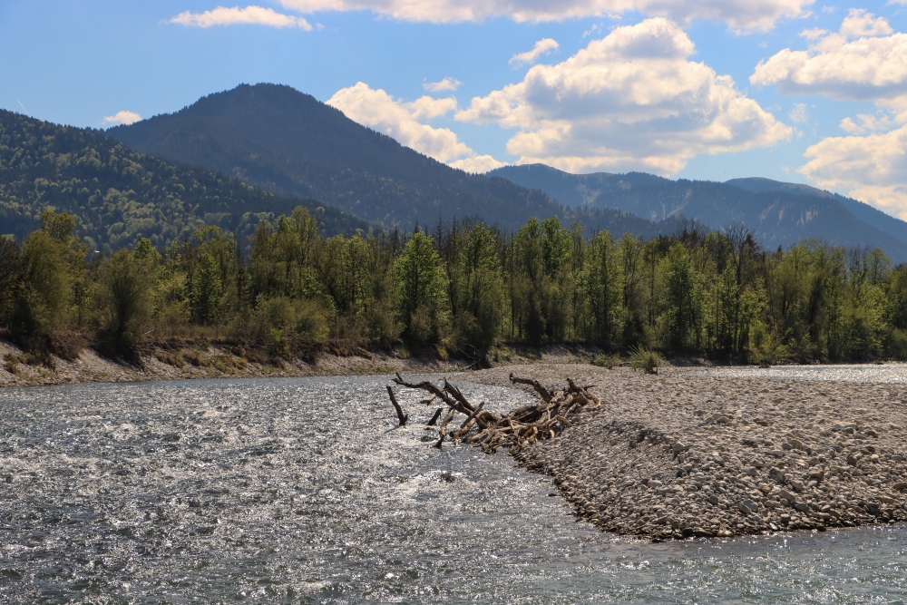 Isar bei Obergries