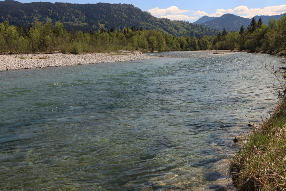 Isar bei Arzbach