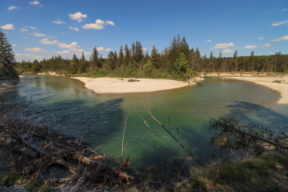 Kleine Isarschleife bei Wolfratshausen