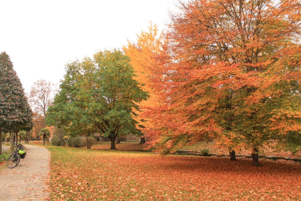 Bad Langensalza; Unstrutradweg