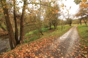 Unstrut-Radweg bei Bad Langensalza