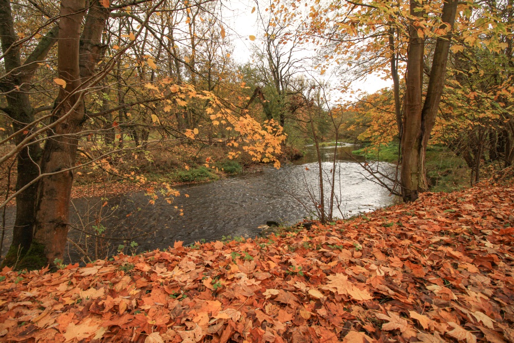 Unstrut-Radweg bei Bad Langensalza