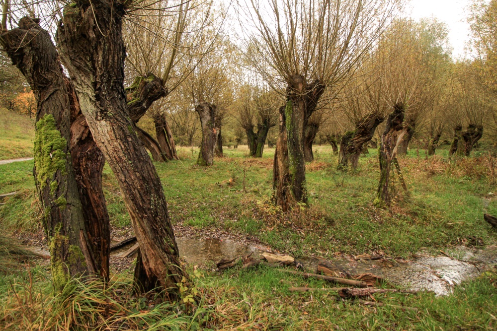 Naturschutzgebiet Unstruttal