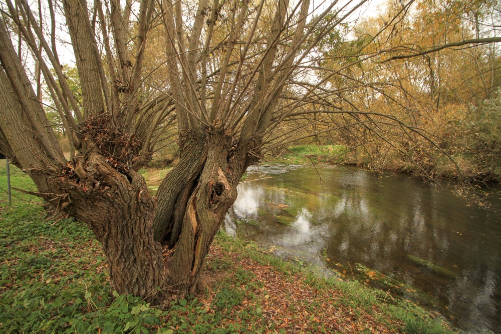 Naturschutzgebiet Unstruttal