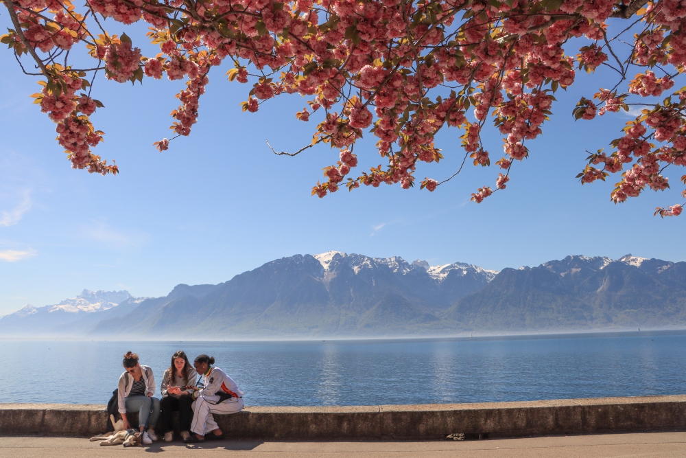 Vevey, Uferpromenade
