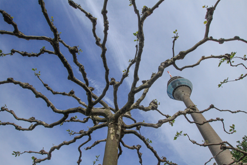 Düsseldorf; Rheinturm