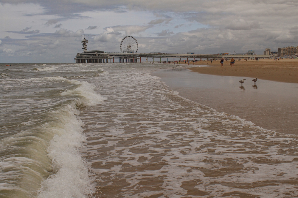 Nordseewellen in Scheveningen