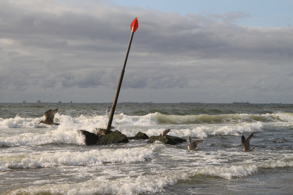 Nordseewellen in Scheveningen