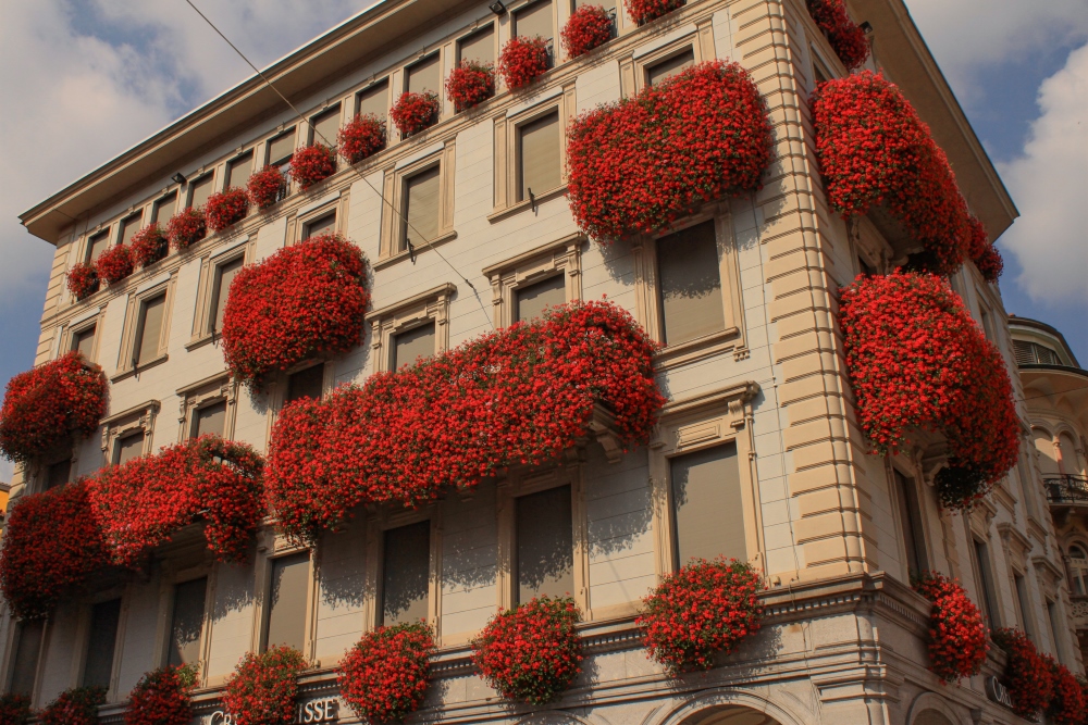 Lugano; Blütenpracht an der Piazza Riforma