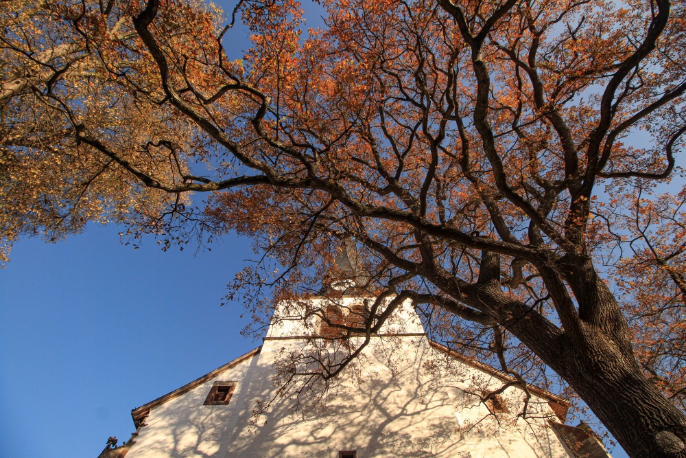 Northeim; St.-Sixti-Kirche