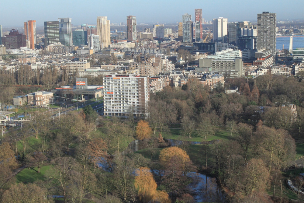 Rotterdam Panorama