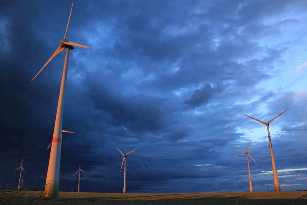 Fläming bei Blönsdorf