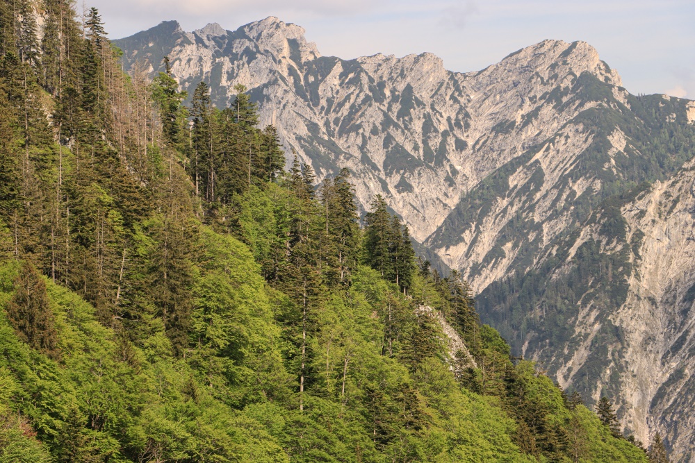 Frühling im Salzkammergut