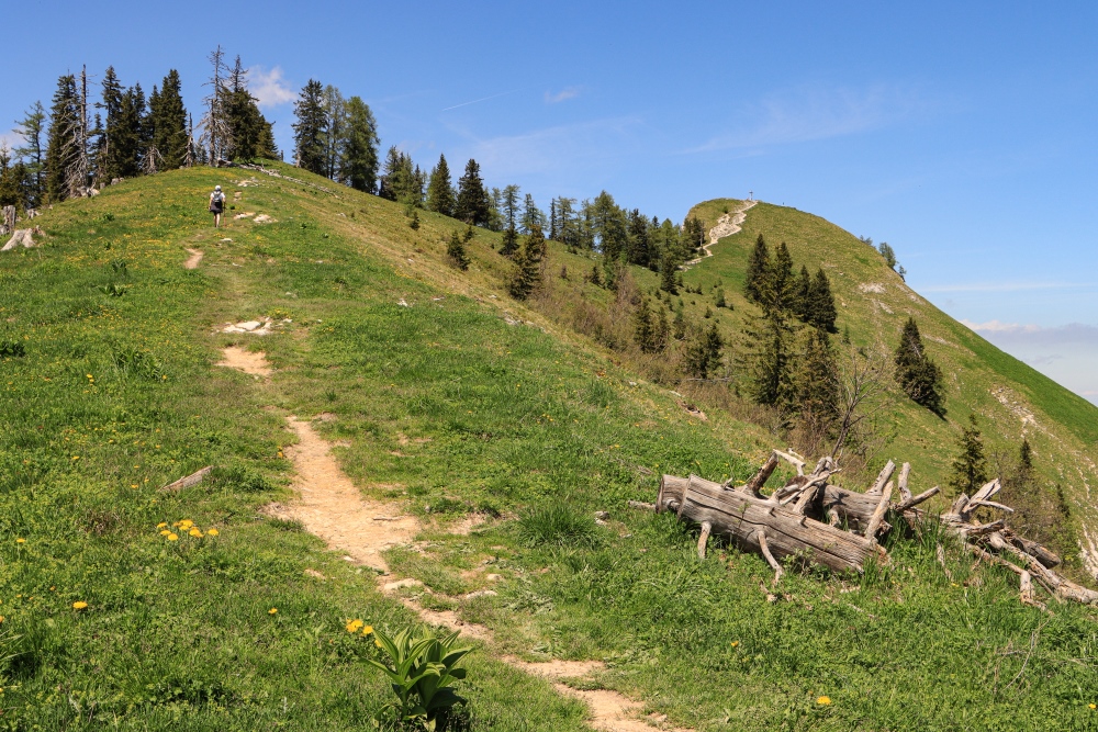 Postalm im Salzkammergut; Wanderweg zum Wieslerhorn