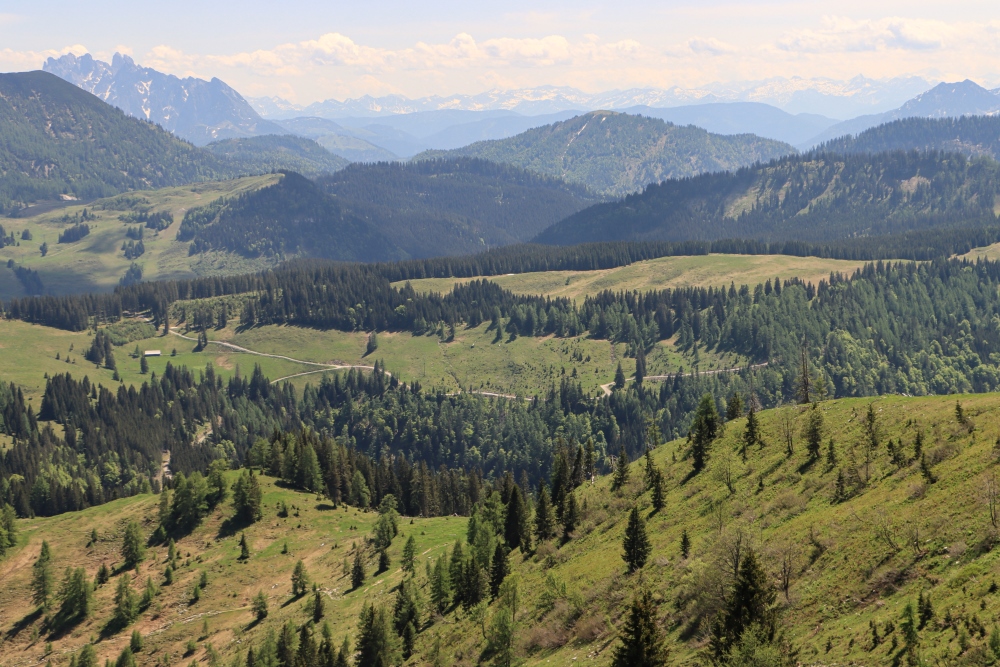 Postalmpanorama vom Wieslerhorn