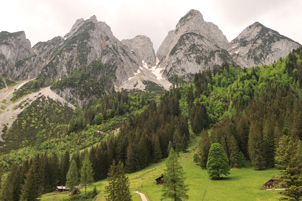 Gosaukamm um den Großen Donnerkogel (2050)