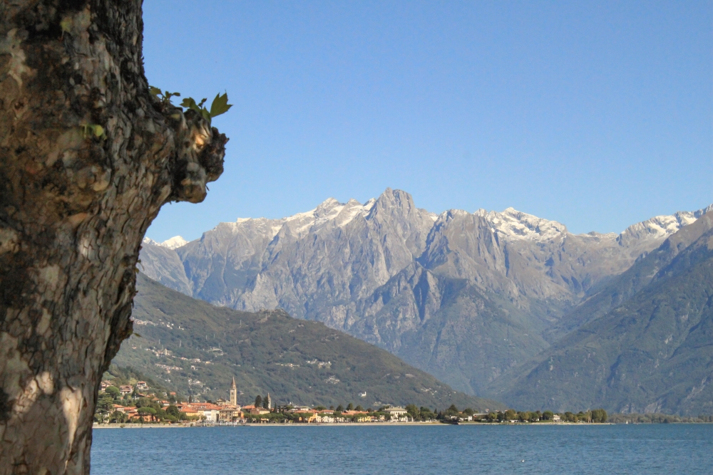 Comer See mit Bernina Alpen