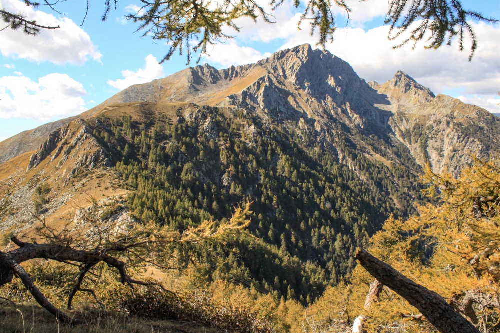 Pizzo Sasso Canale (Tambo-Gruppe)