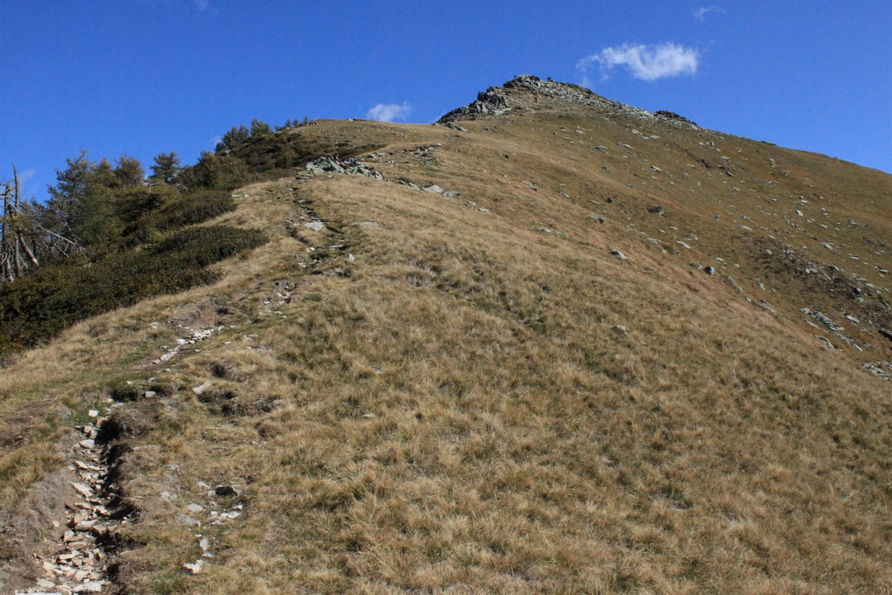 Monte Berlinghera (Tambo-Gruppe)