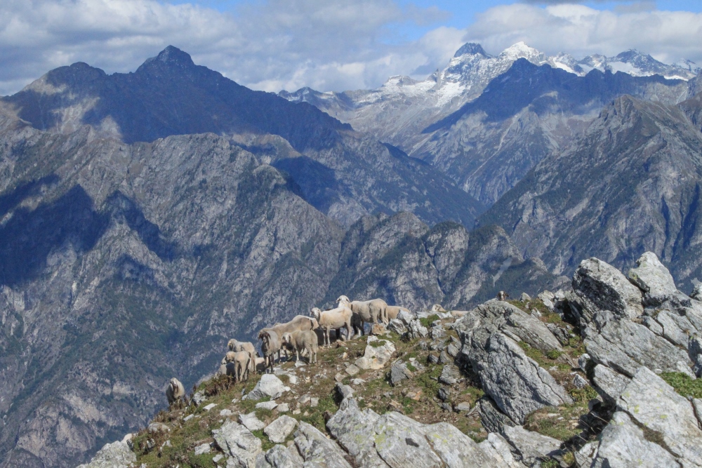 Blick in das Bergell vom Monte Berlinghera