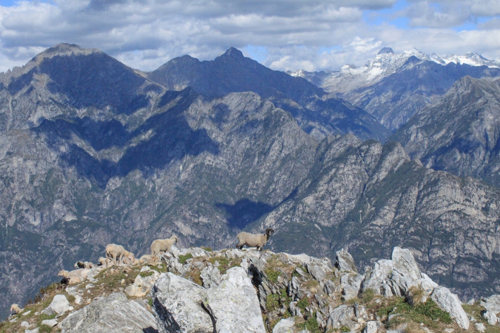 Blick in das Bergell vom Monte Berlinghera
