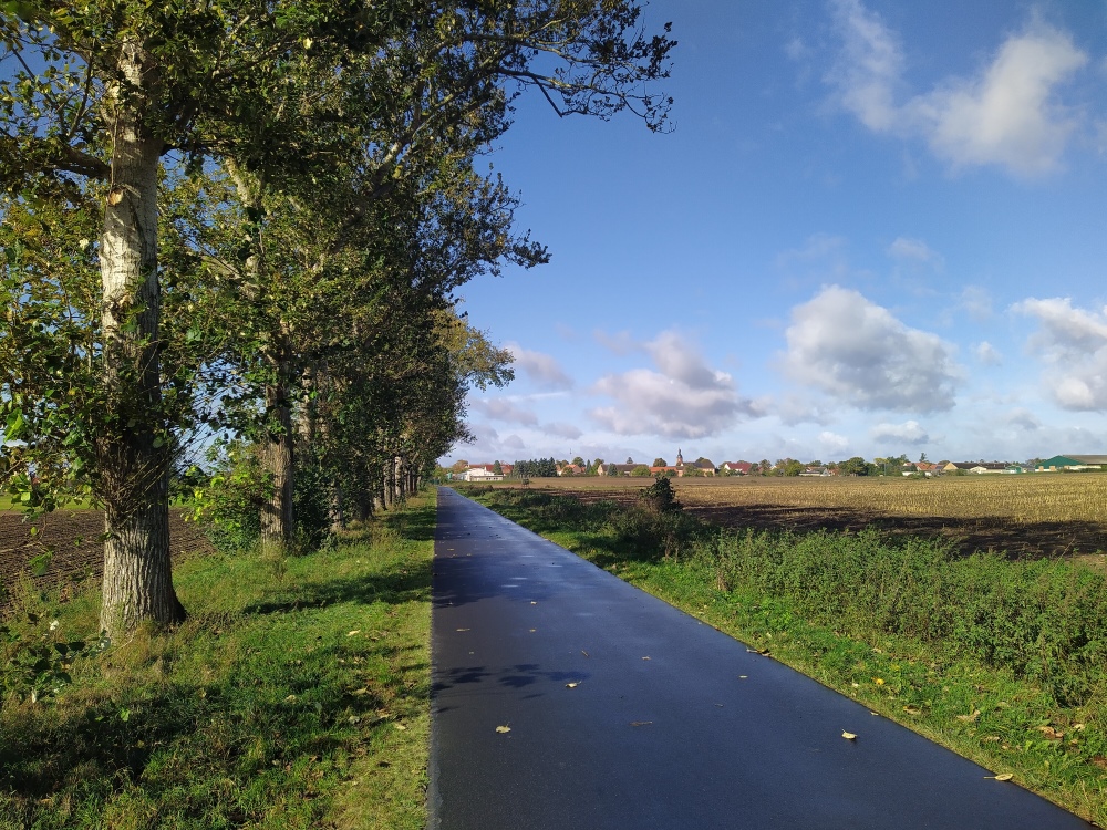 Fläming-Skate bei Langenlipsdorf