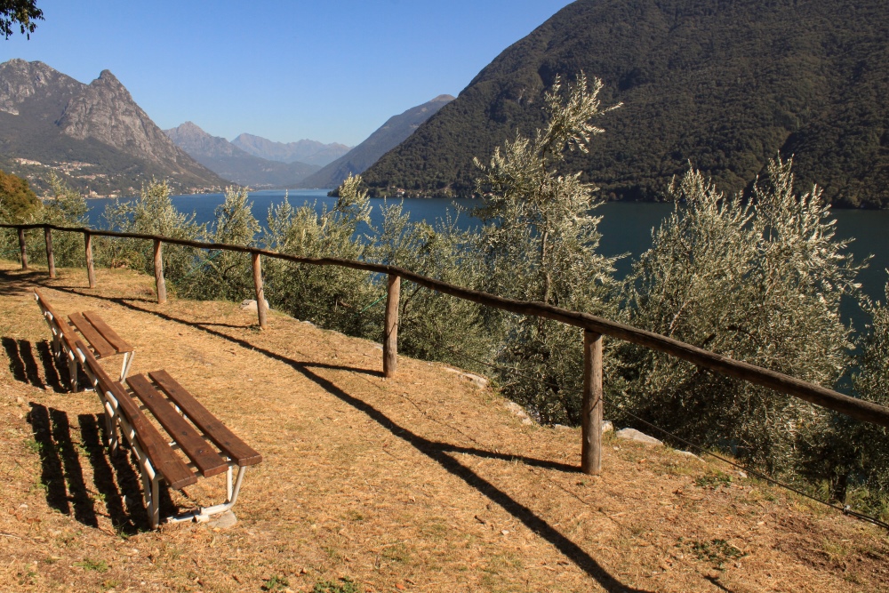 Luganer See vom Oliven-Weg oberhalb von Gandria