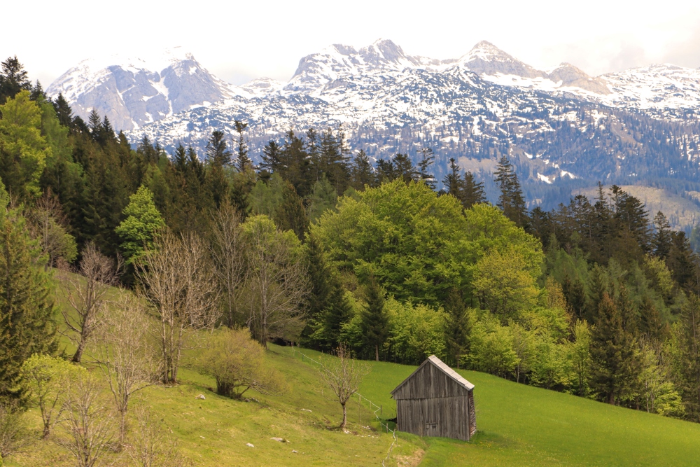 Frühling im Ausseerland