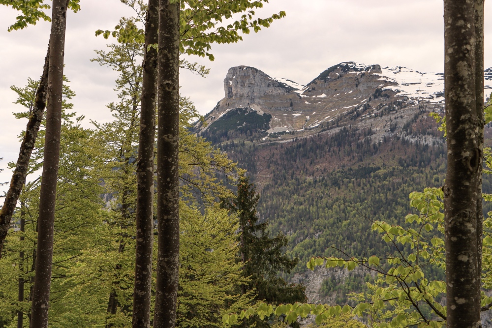 Altausseerland; Loserblick