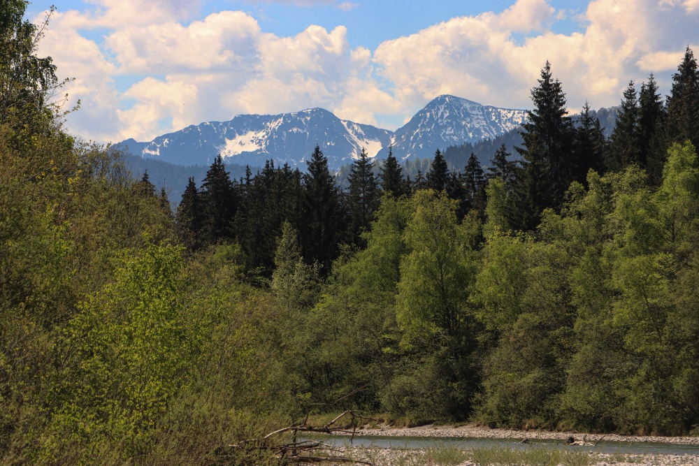 Alpenblick vom Lenggrieser Isarufer