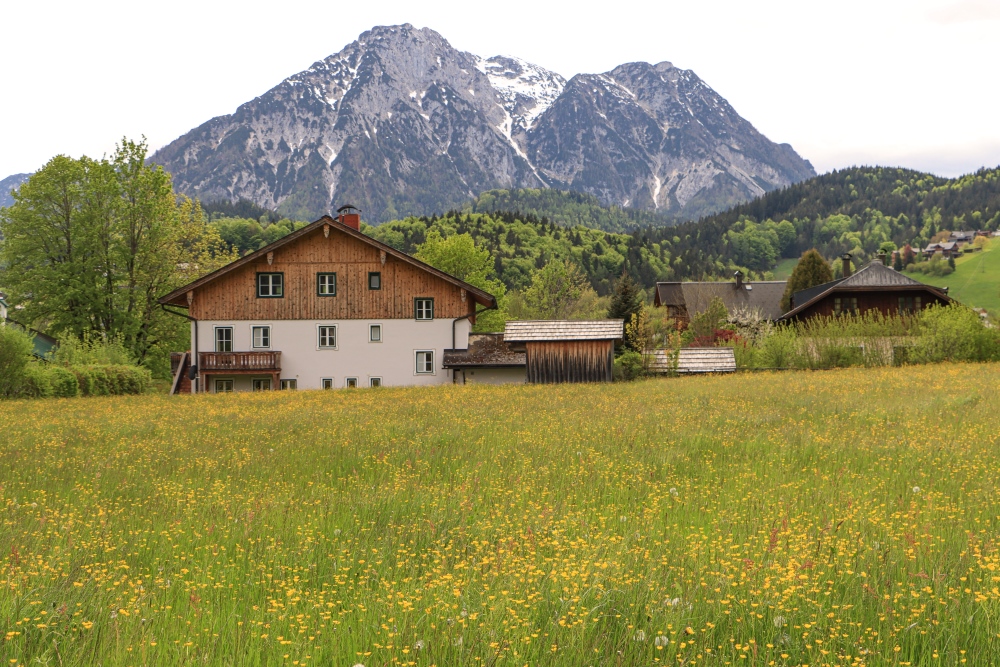 Ausseerland; Blick zum Hohen Sarstein