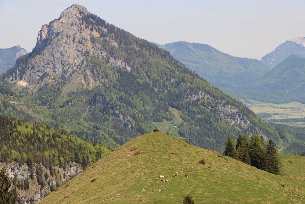 Postalm, Blick zum Sparber