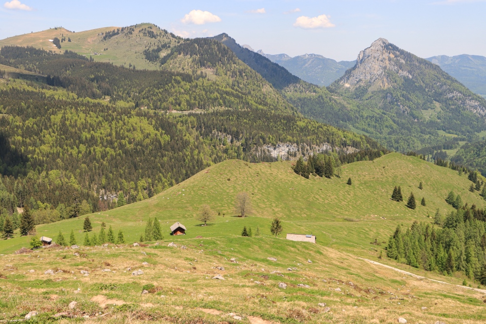 Postalm Panorama