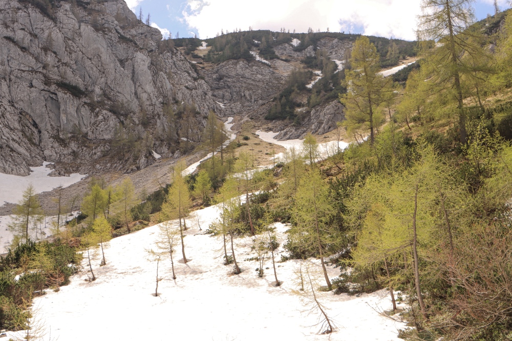 Frühling in den Alpen