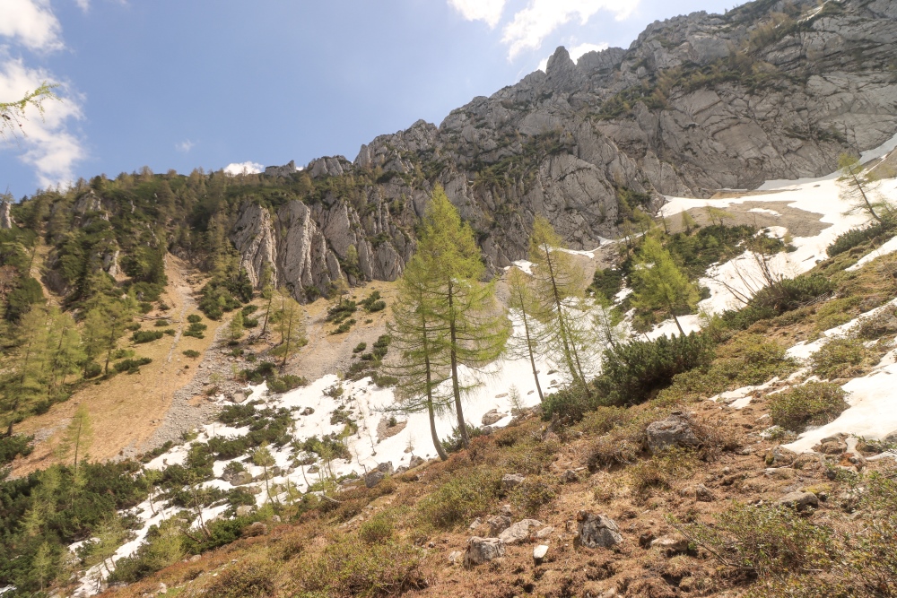 Alpenfrühling im Salzkammergut