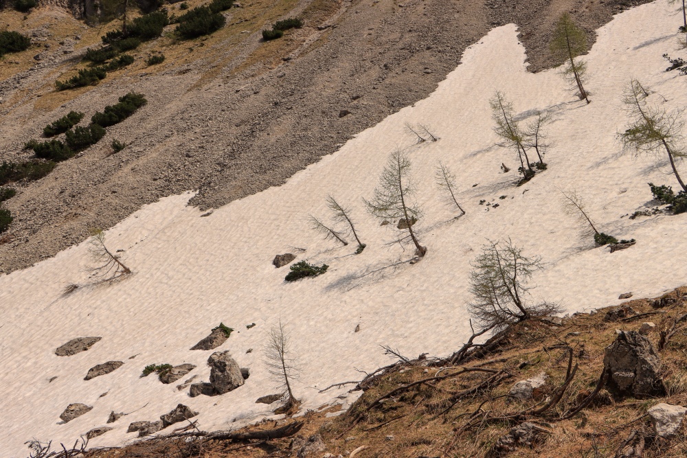 Schneefeld in der Sonne